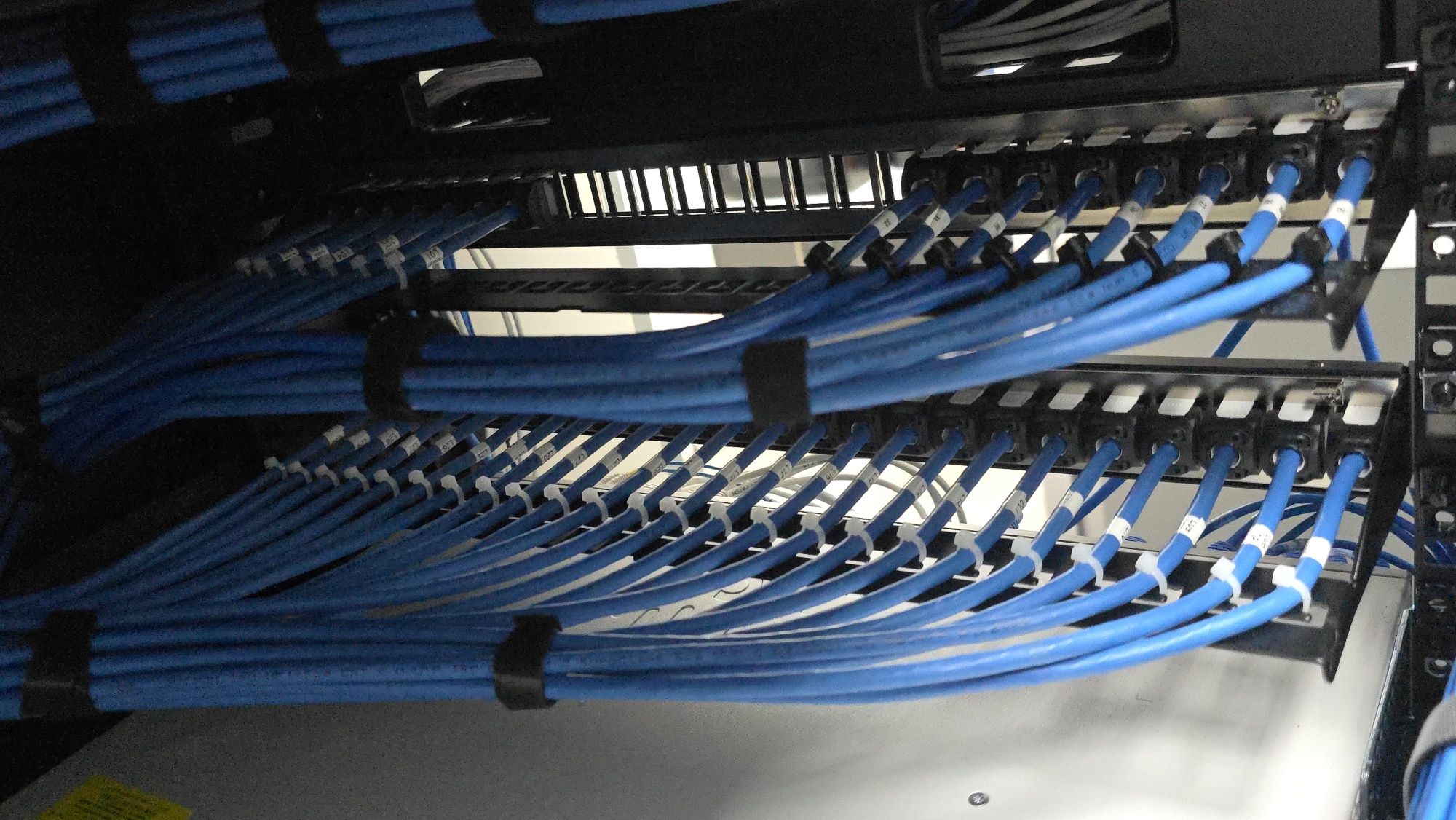 Cat6A patch panel termination, rear view, AAA Communications